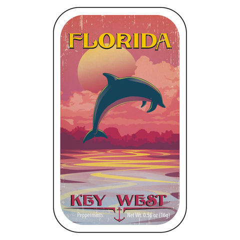 Dolphin Sunset Florida - 1508S