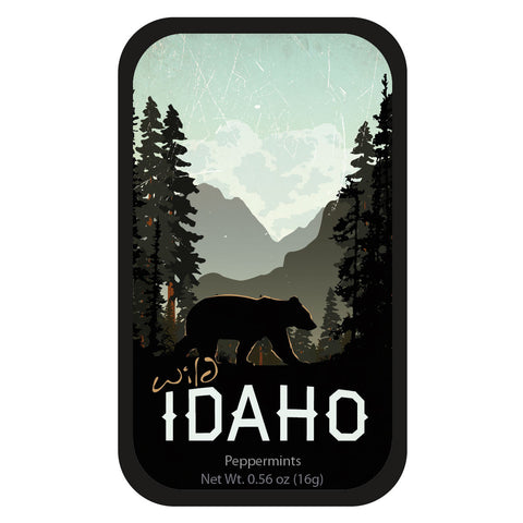 Wild Black Bear Idaho - 1544S